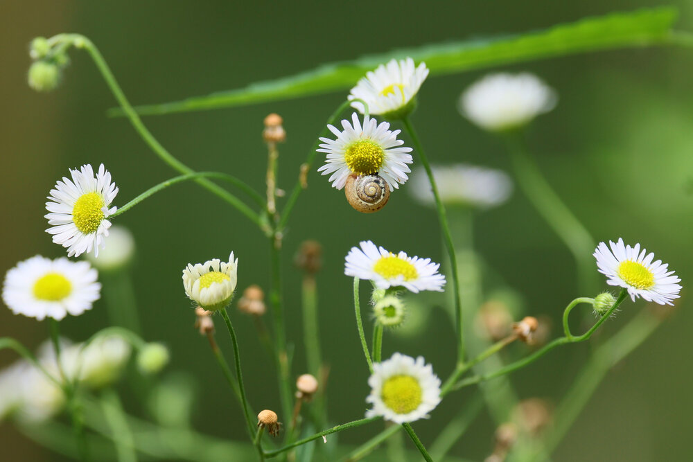 Photograph by Mikhail Khmelevskiy