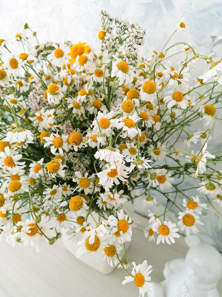 Photograph by Галина Пылаева