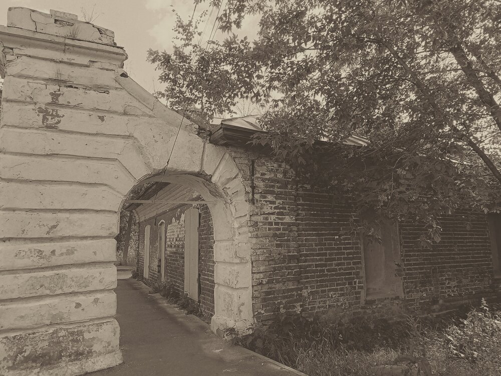 Photograph by Юлия Творогова