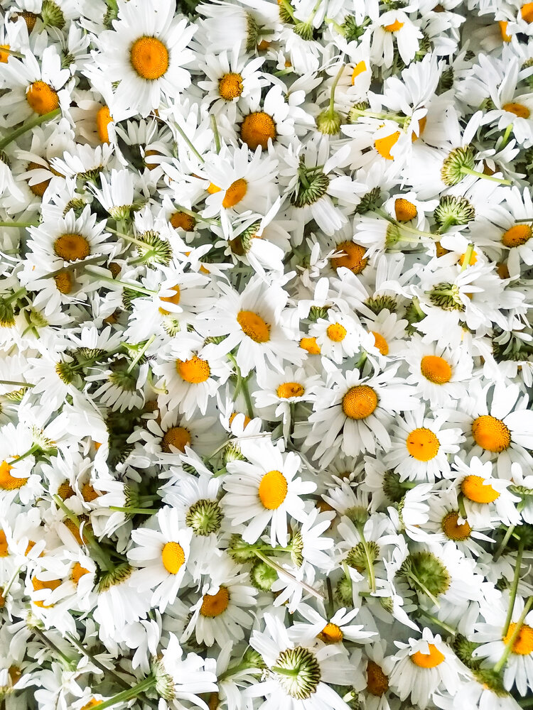 Photograph by Галина Пылаева
