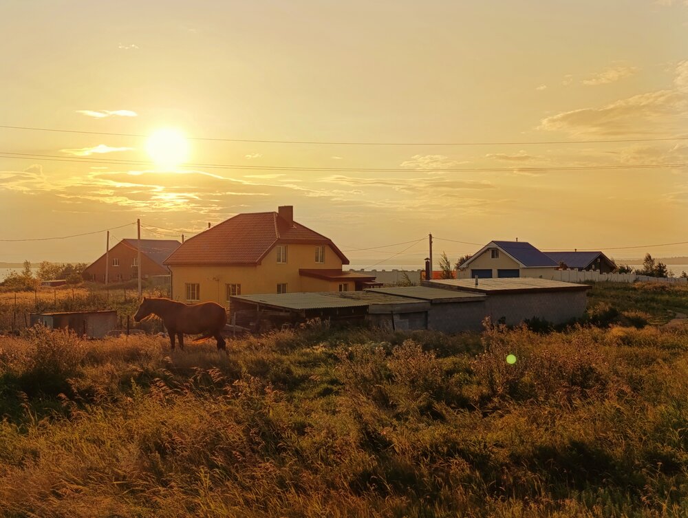 Photograph by Алена Марченко