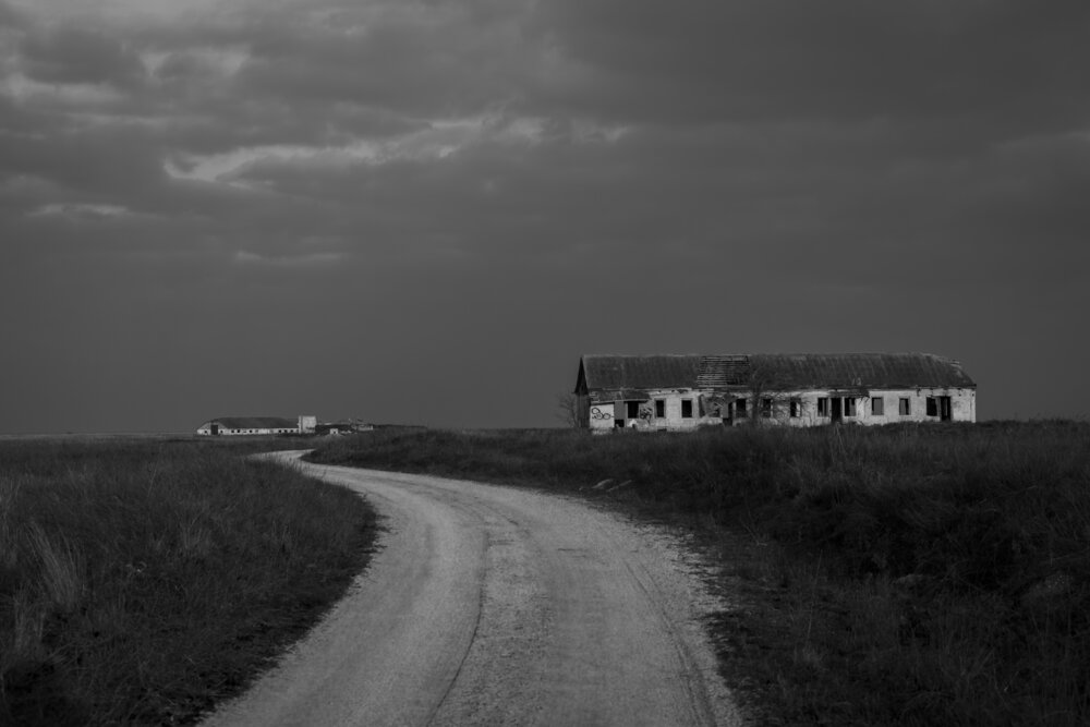 Photo #13907619