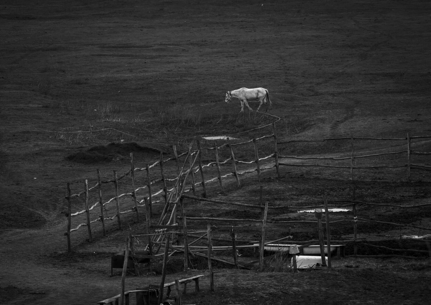 Photo #13907629