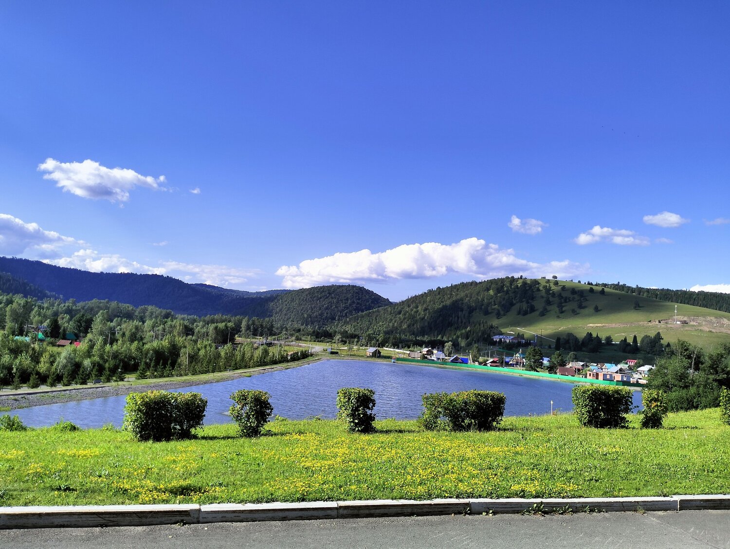 Photo #13907636