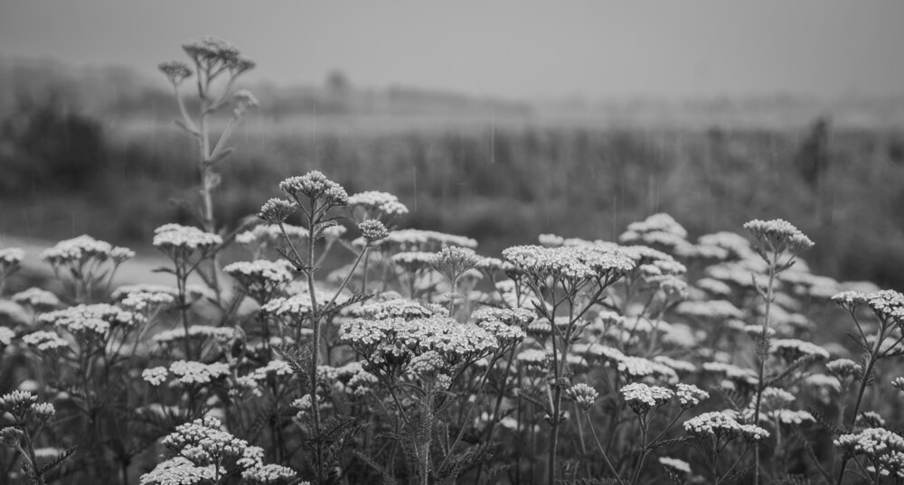 Photograph by Федор Архипов