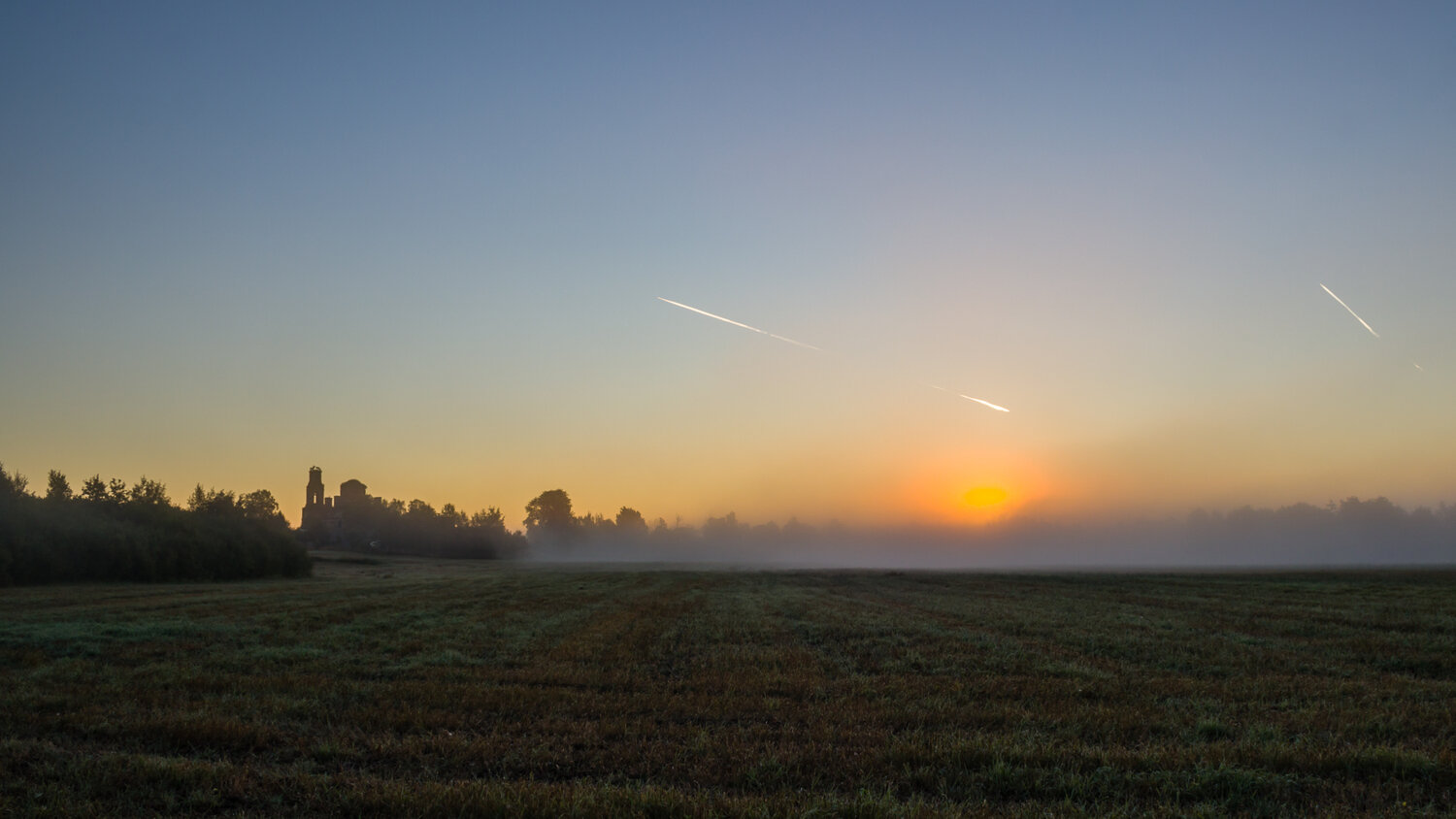 Photo #13907665