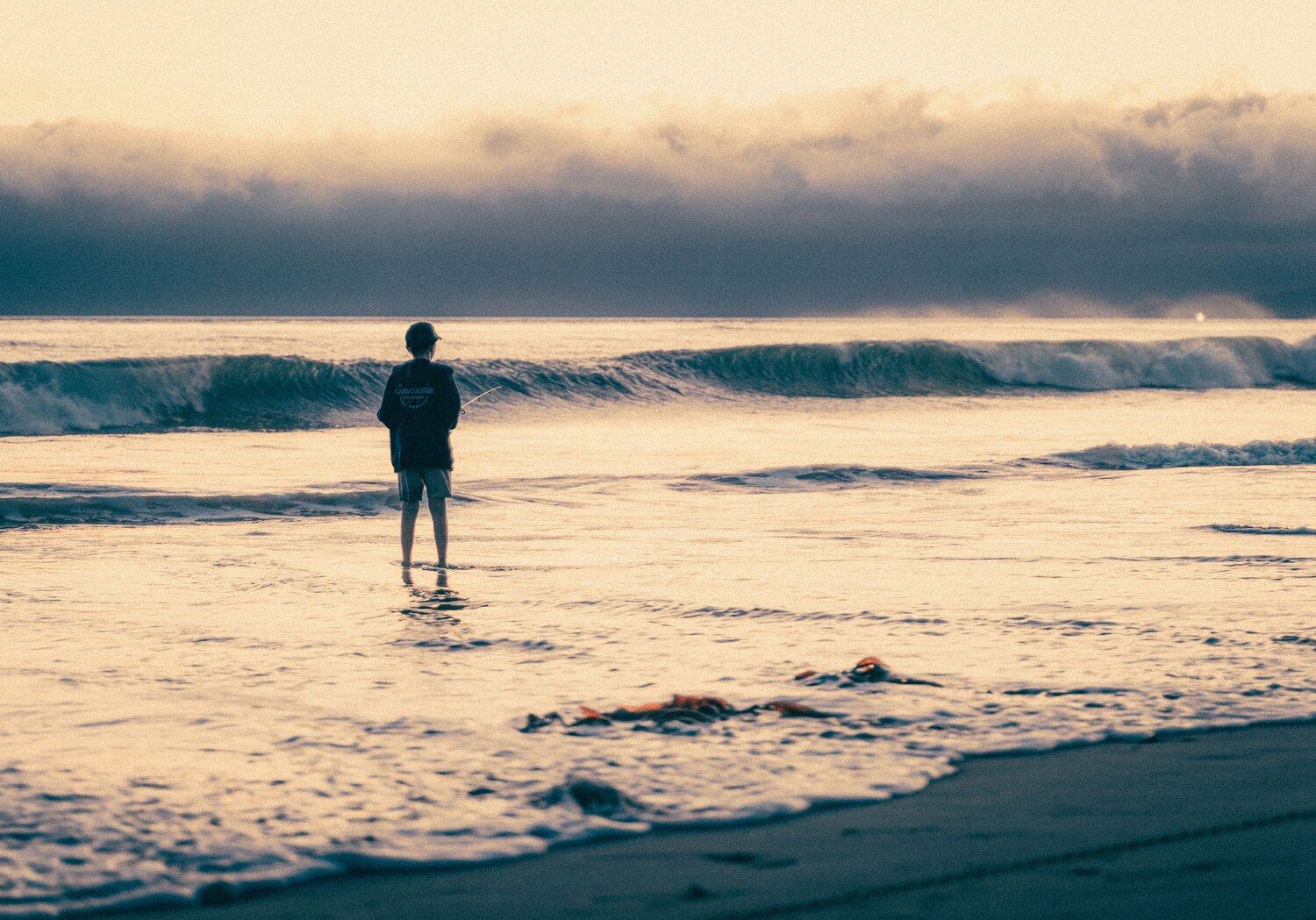 Photo #13907680