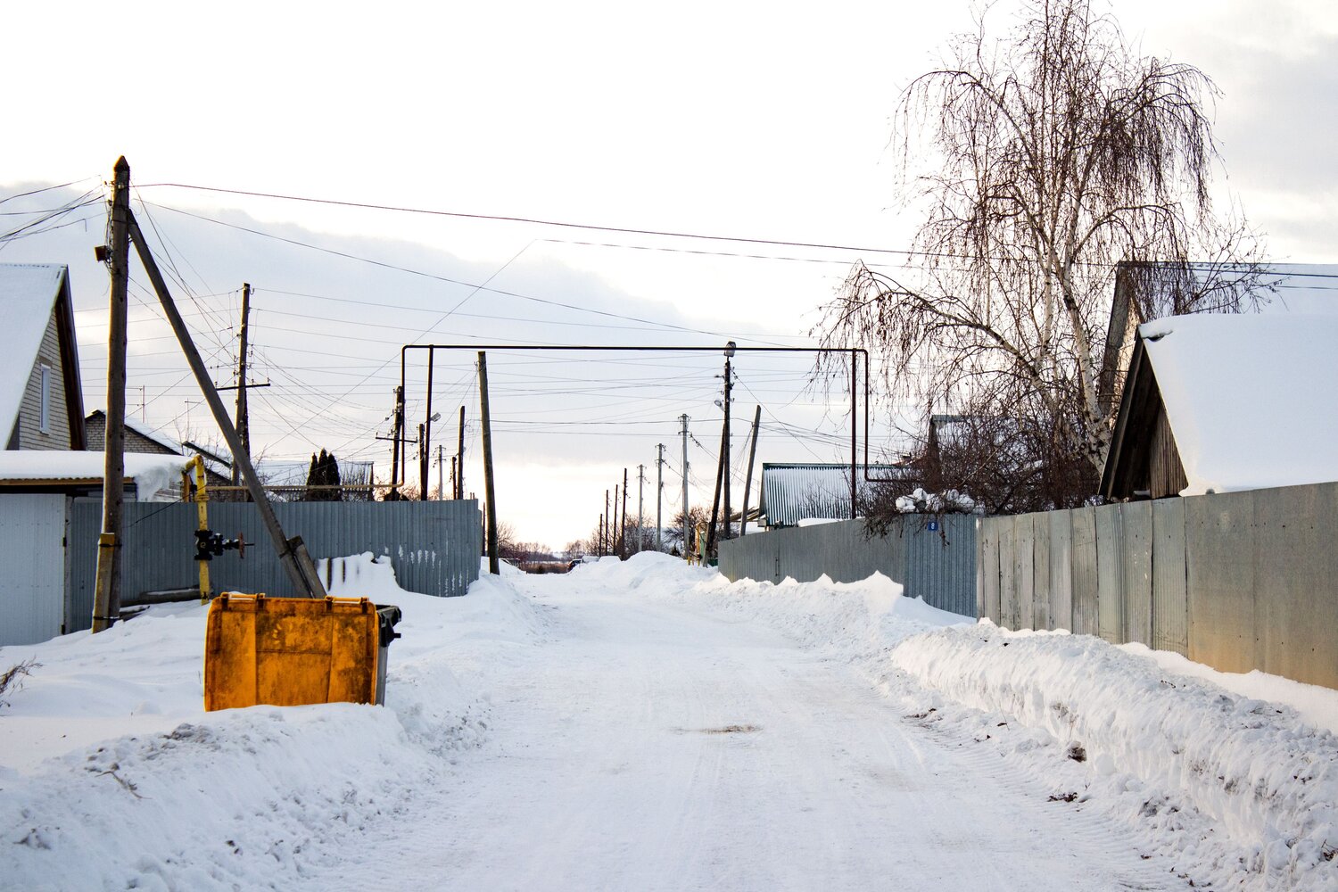 Photo #13907768