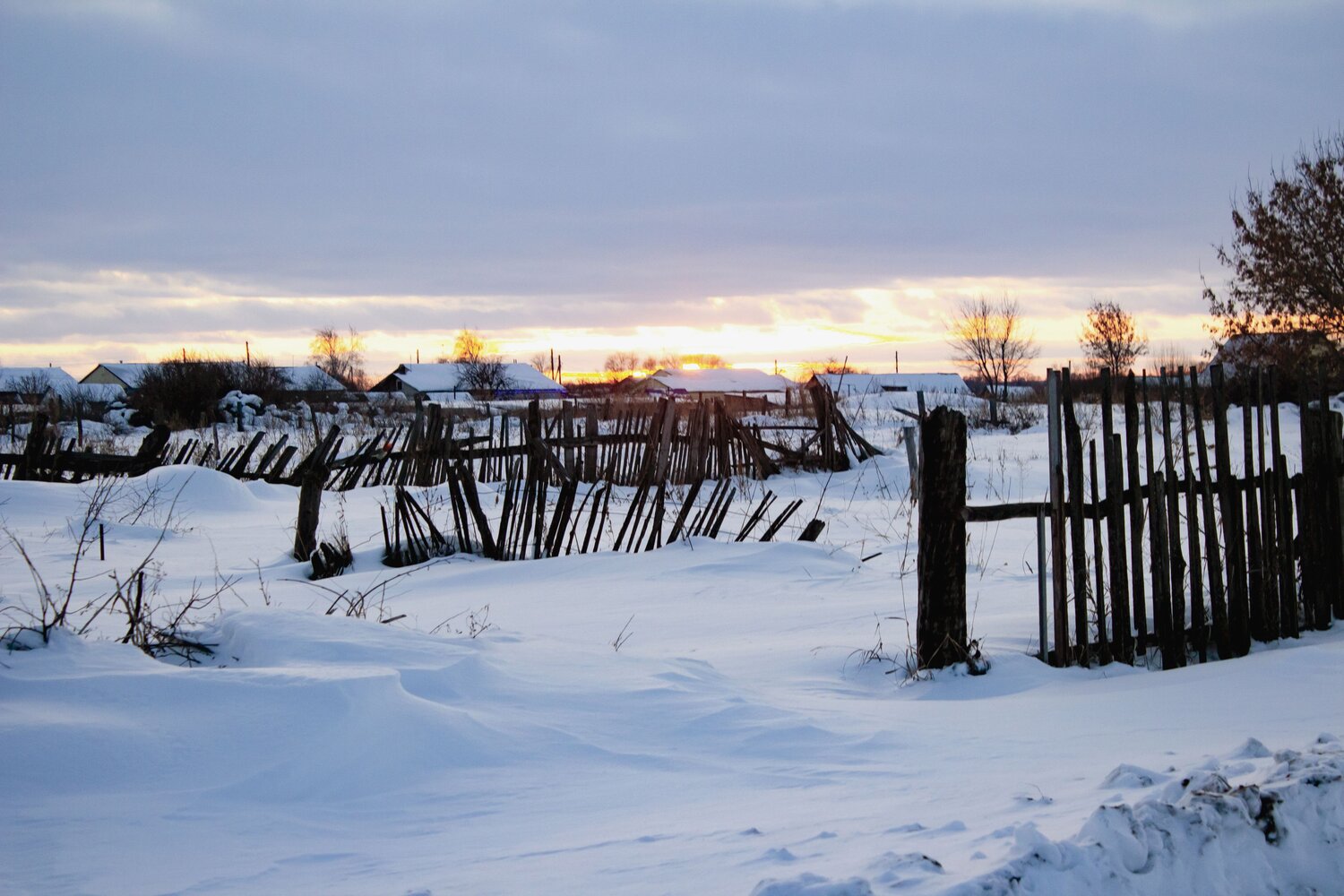 Photo #13907769