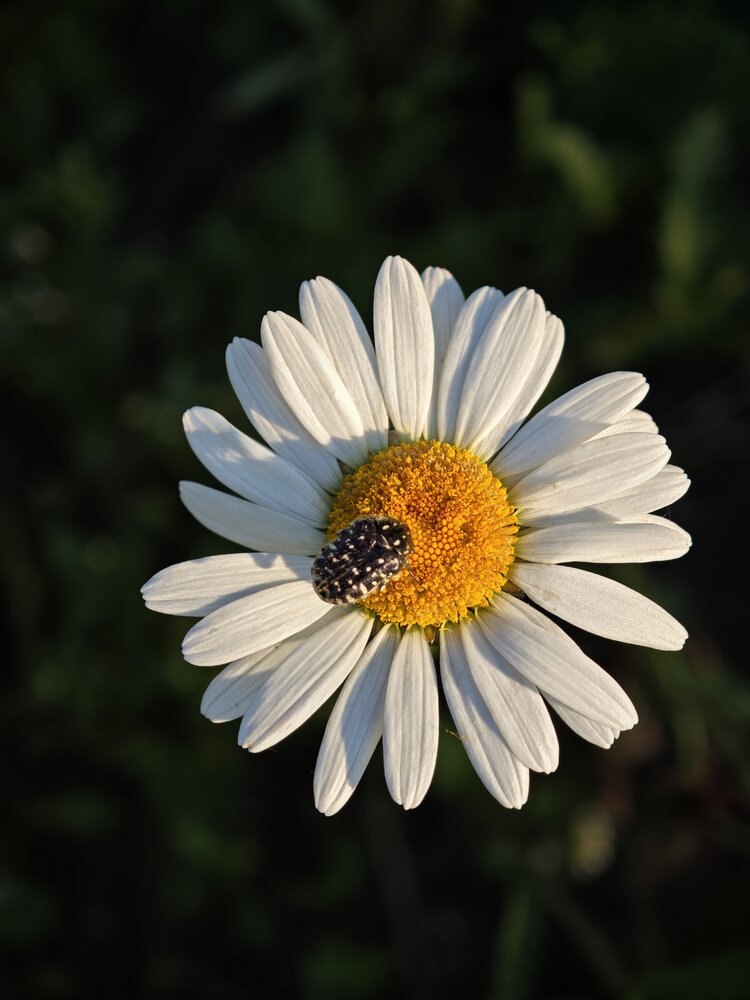Photograph by Алексей Юдин