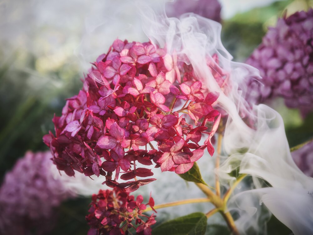 Photograph by Алексей Юдин