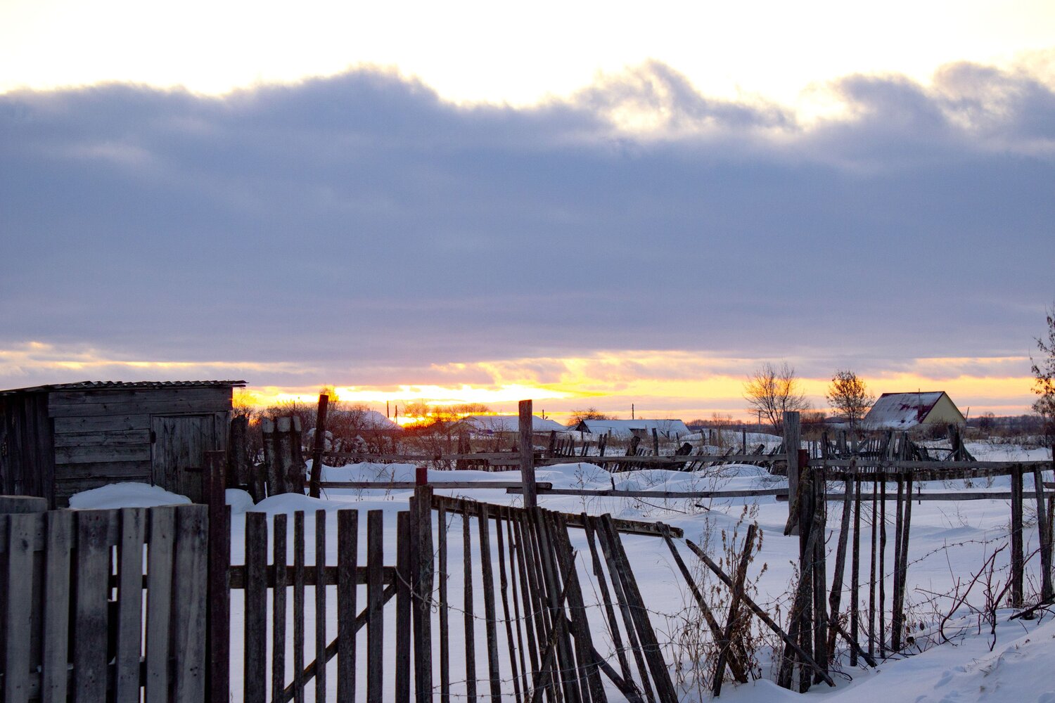 Photo #13907787