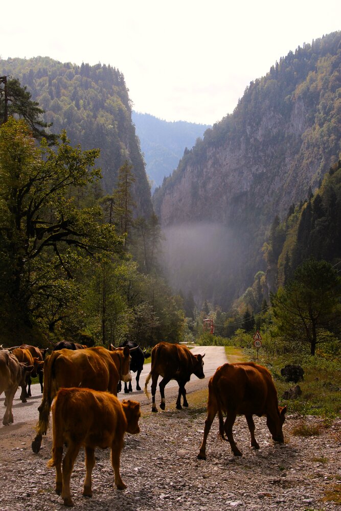 Photograph by Карпухина Анна