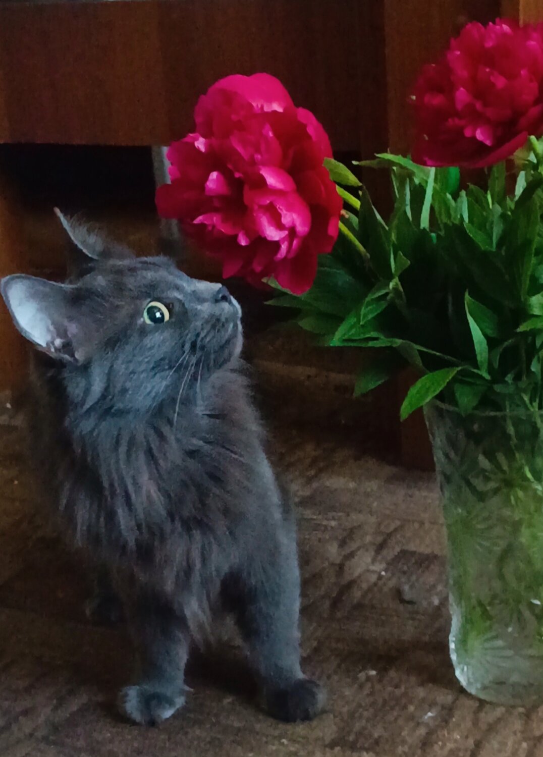 Photo #13907814