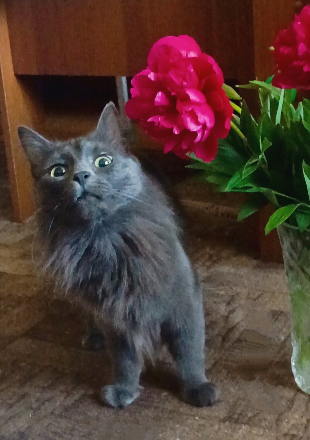 Photo #13907825