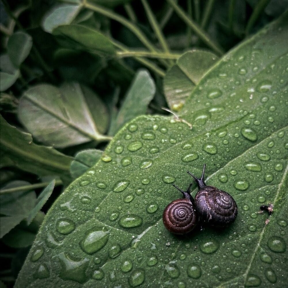 Photograph by Галина Пылаева