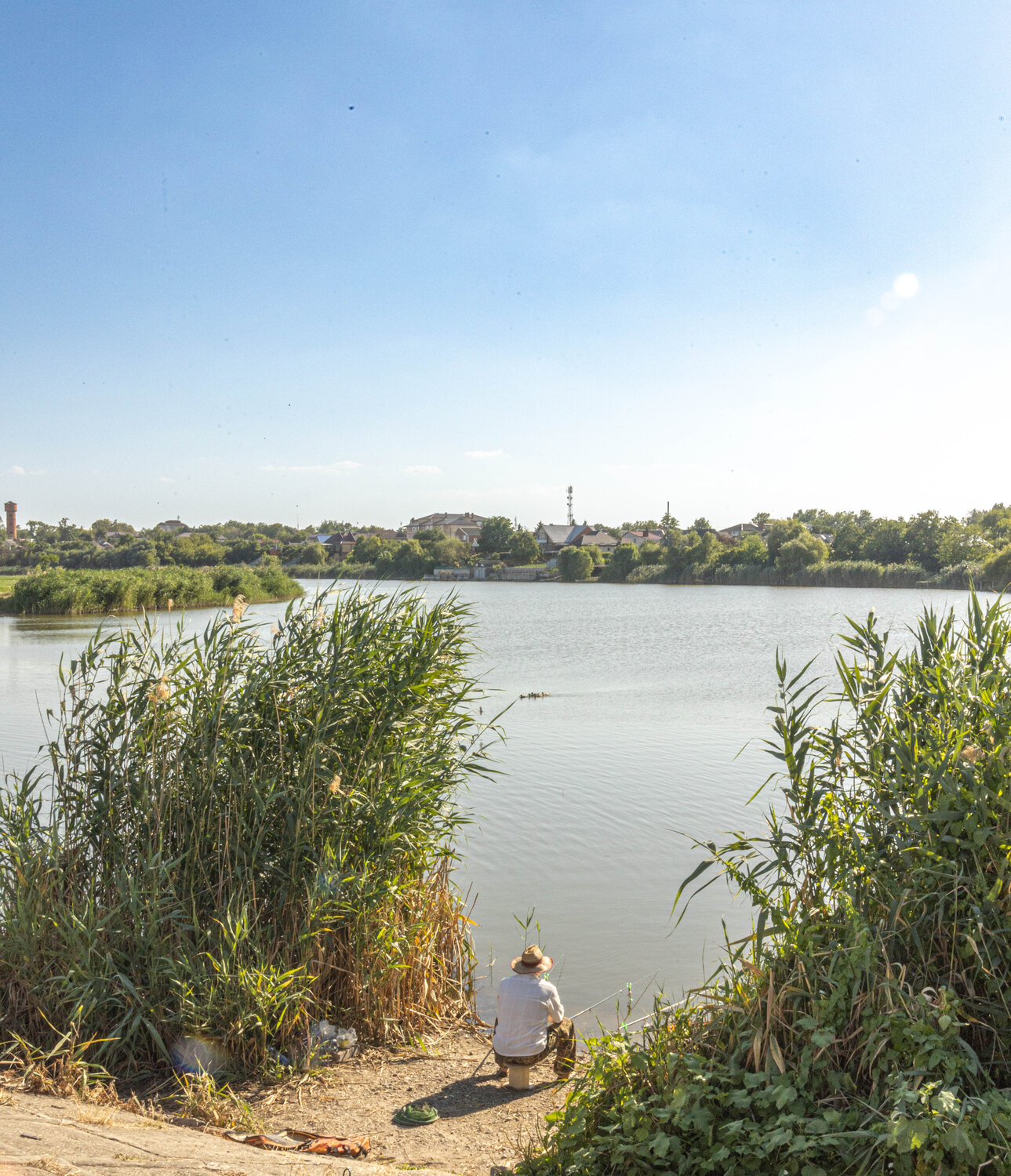 Photo #13907906