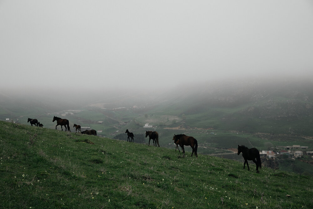 Фотография автора Раздорова Мария