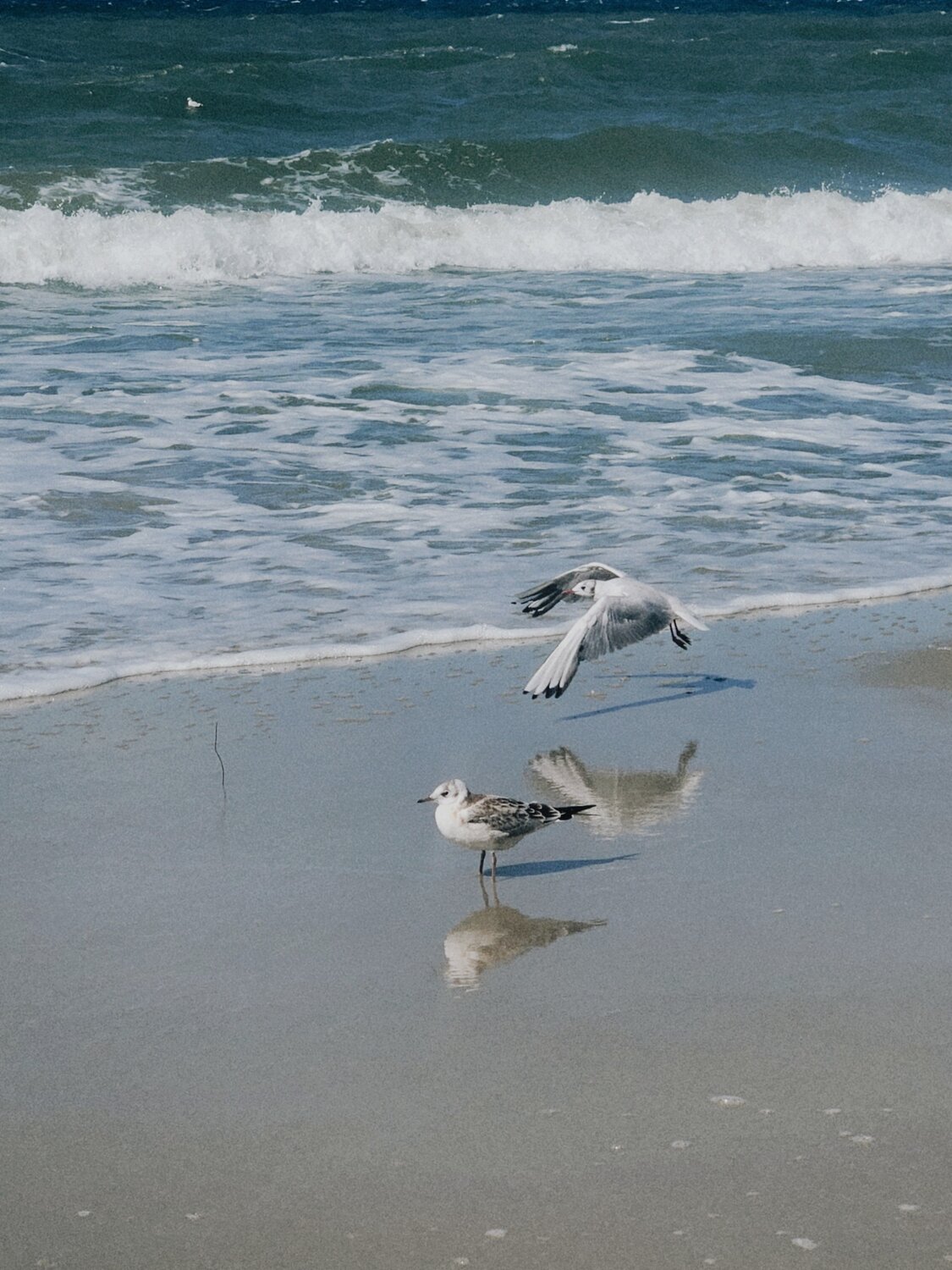 Photo #13907988
