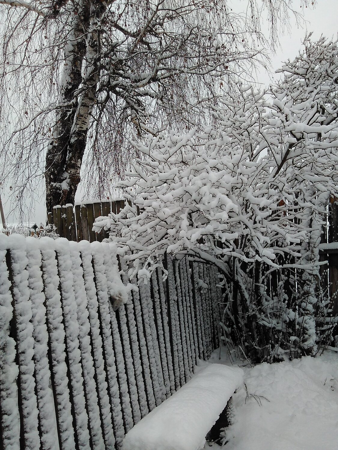 Photo #13908058