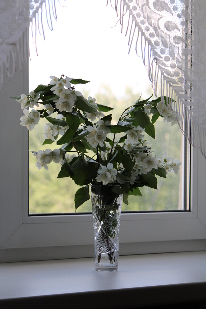 Photograph by Галина Трофимова