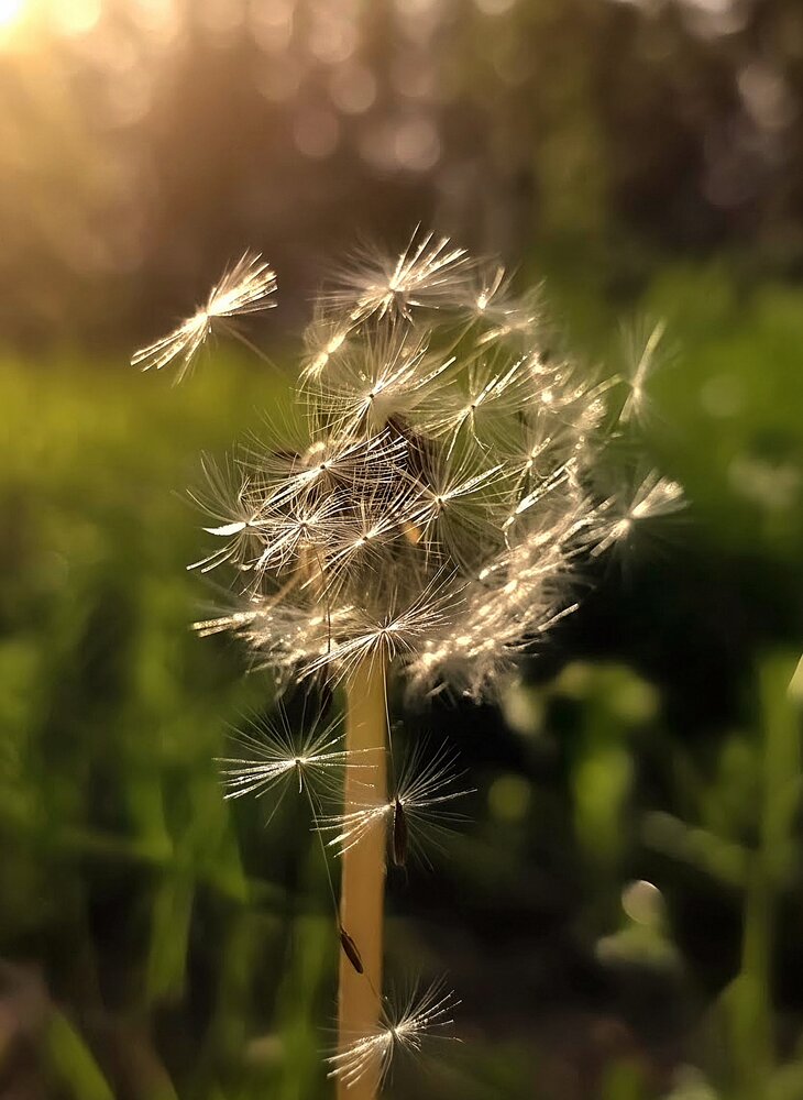 Photograph by Светлана Кустова