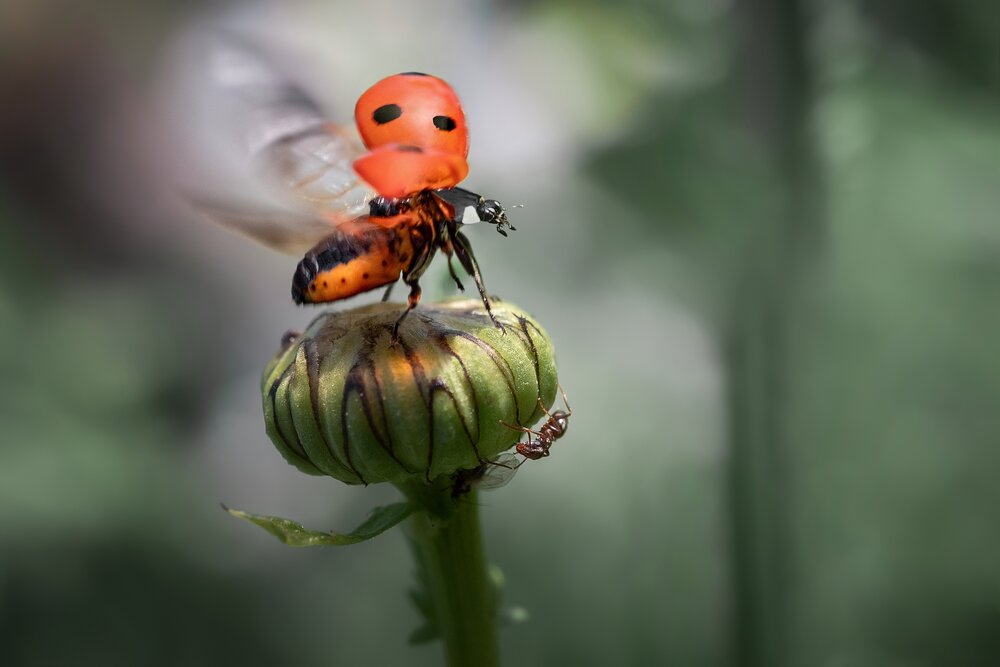 Photograph by Kveta Novotna