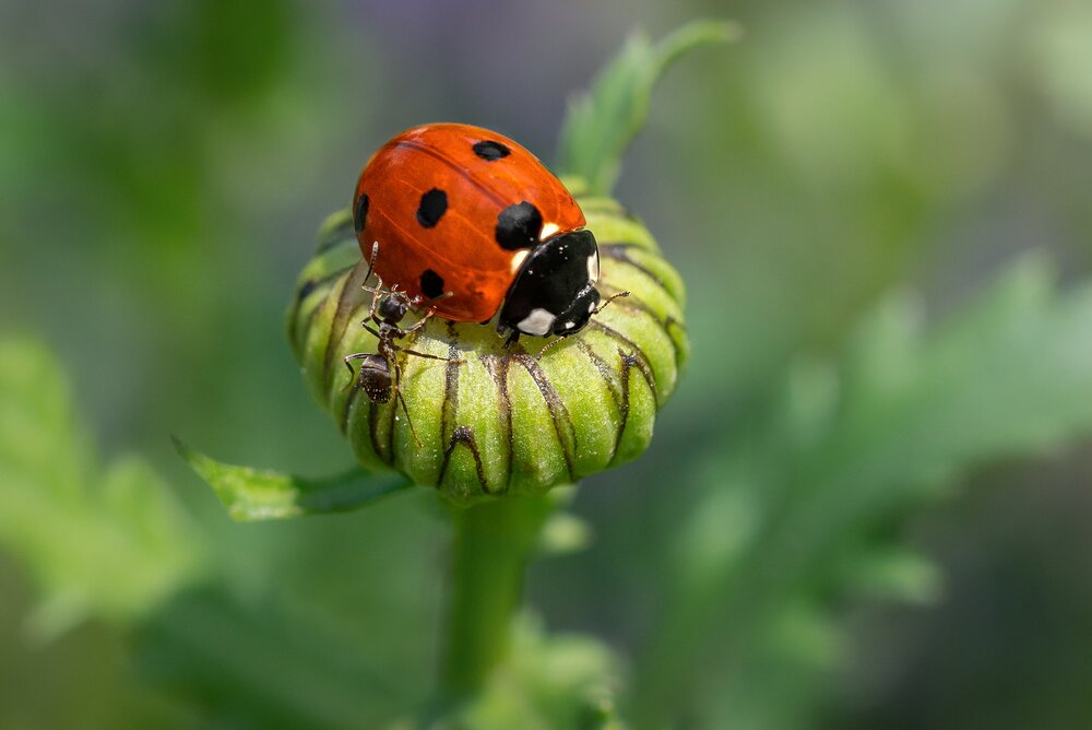 Photograph by Kveta Novotna