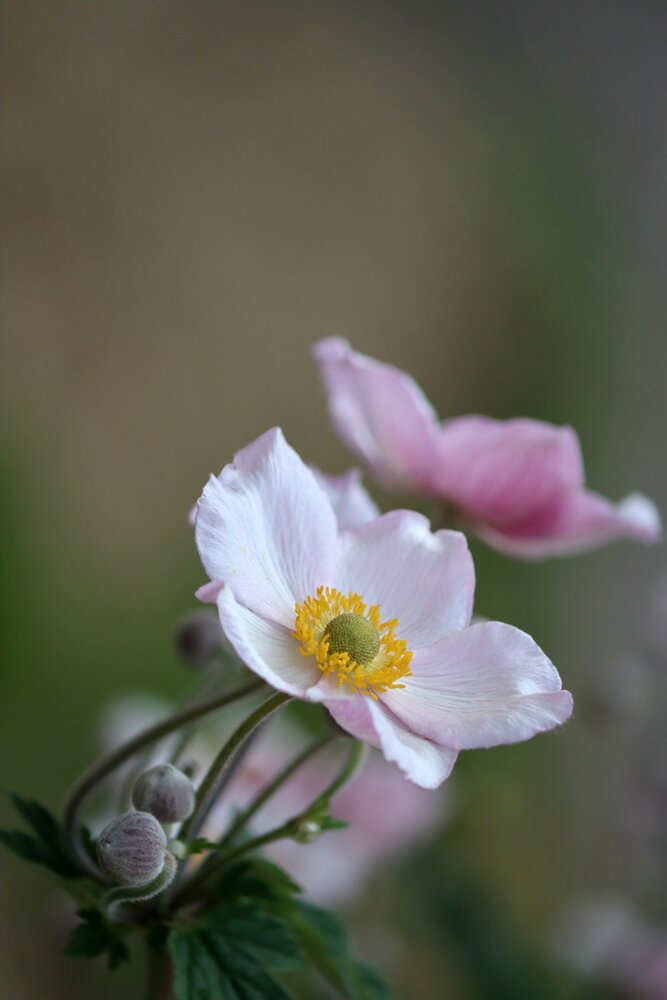 Photograph by Татьяна Сычёва