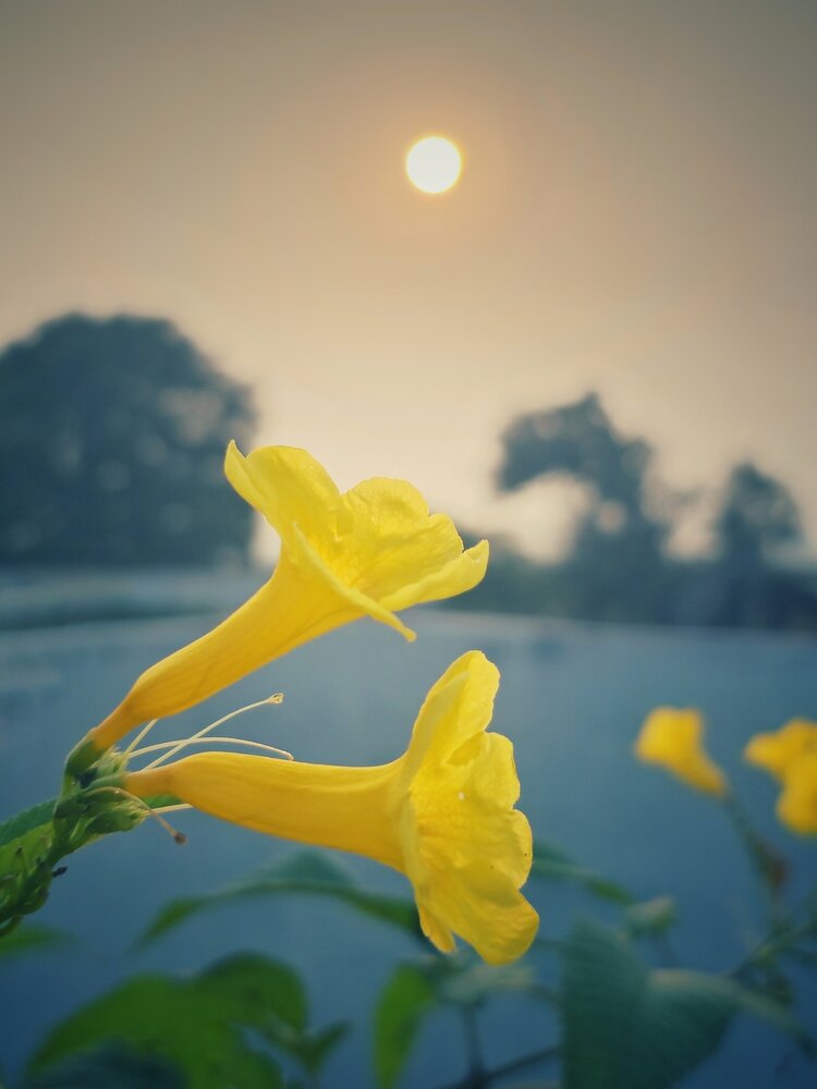 Photograph by Vishnu Prasad