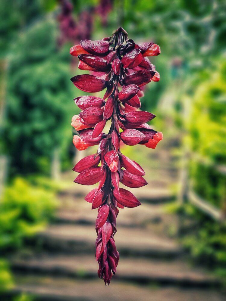 Photograph by Vishnu Prasad