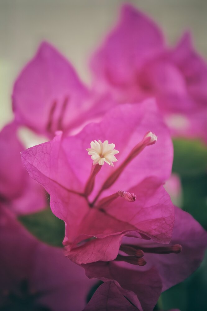 Photograph by Vishnu Prasad