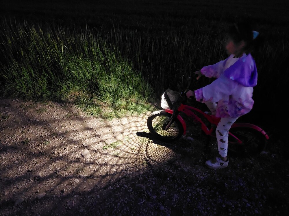Photograph by Mahdi Hosseini Kia
