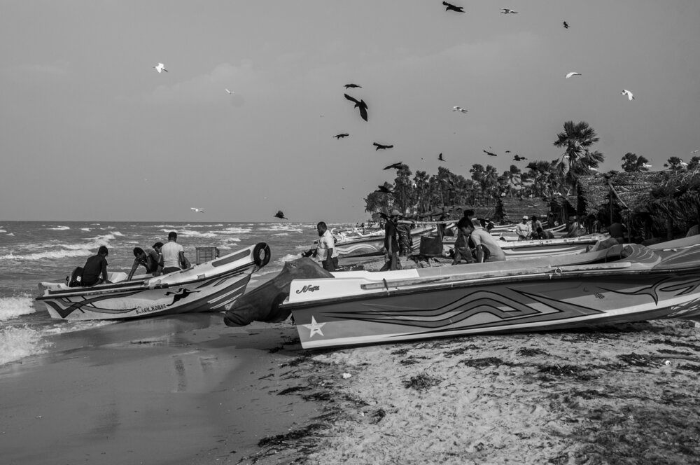Photograph by Chamara Sulakkhana Polwatta Siriyalage