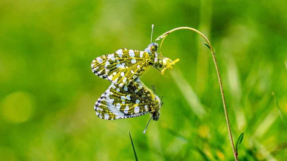 Photograph by irfan demirel