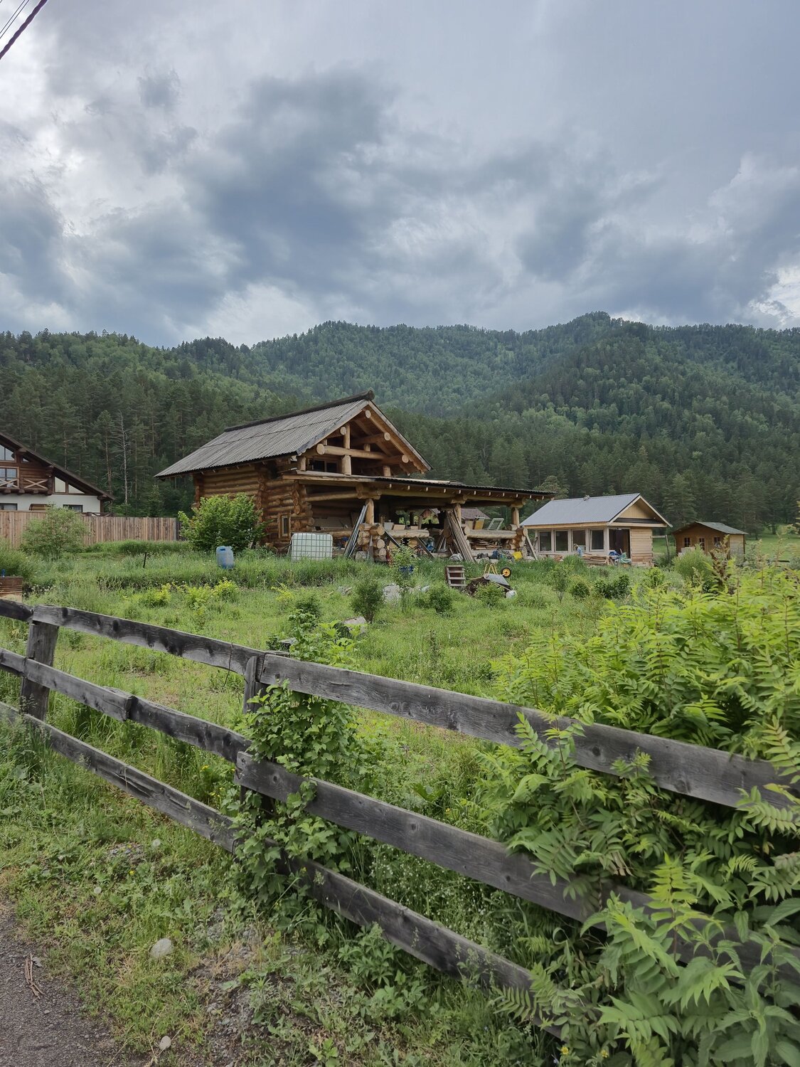 Photo #13908287