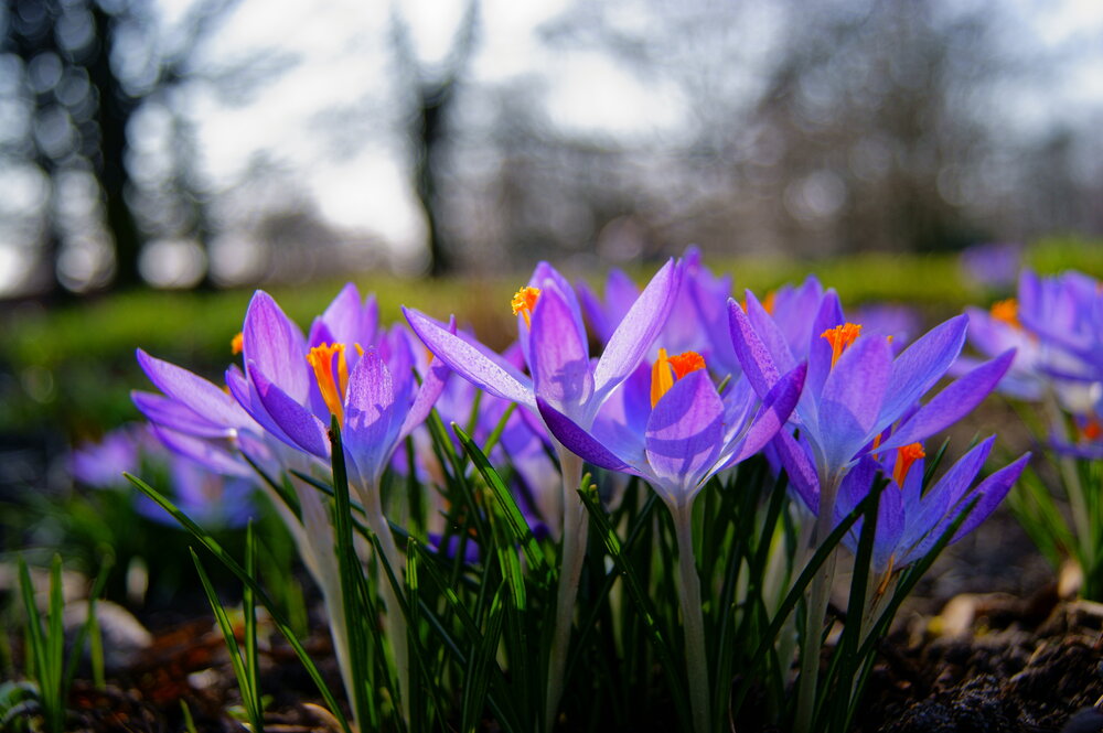 Photograph by Sergej Roor