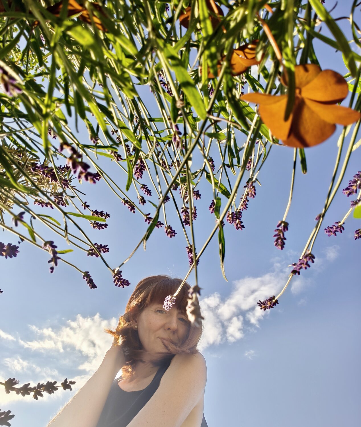 Photo #13908324