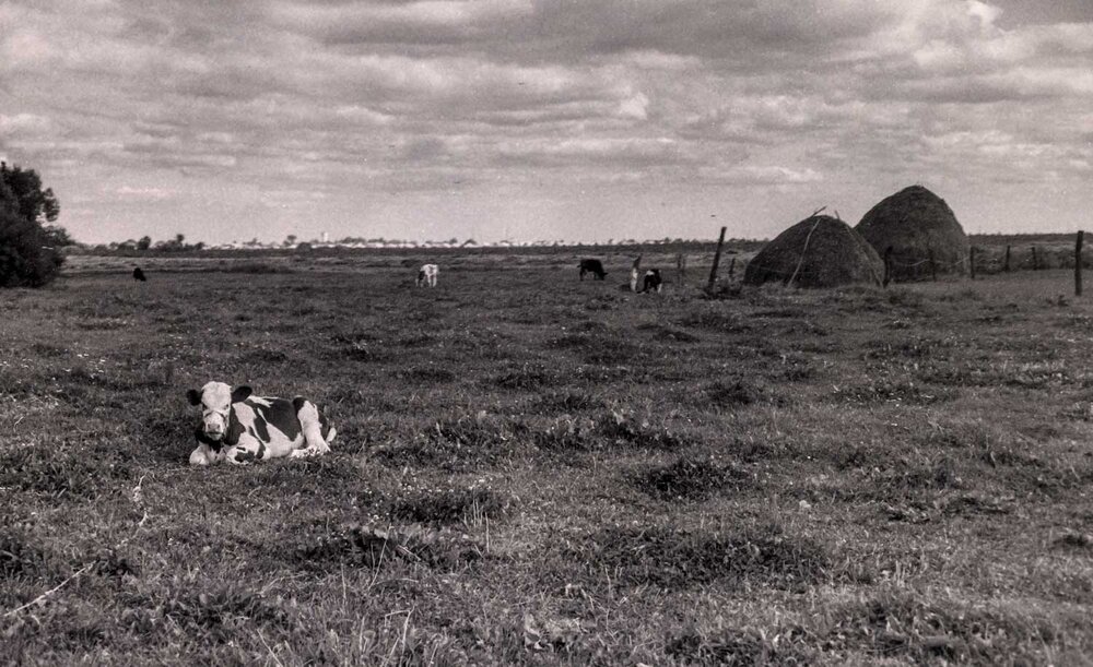 Photograph by Владимир Зубов