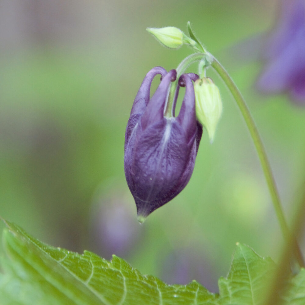 Photograph by Виктория Бурлака