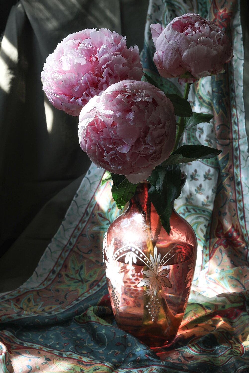 Photo #13908412