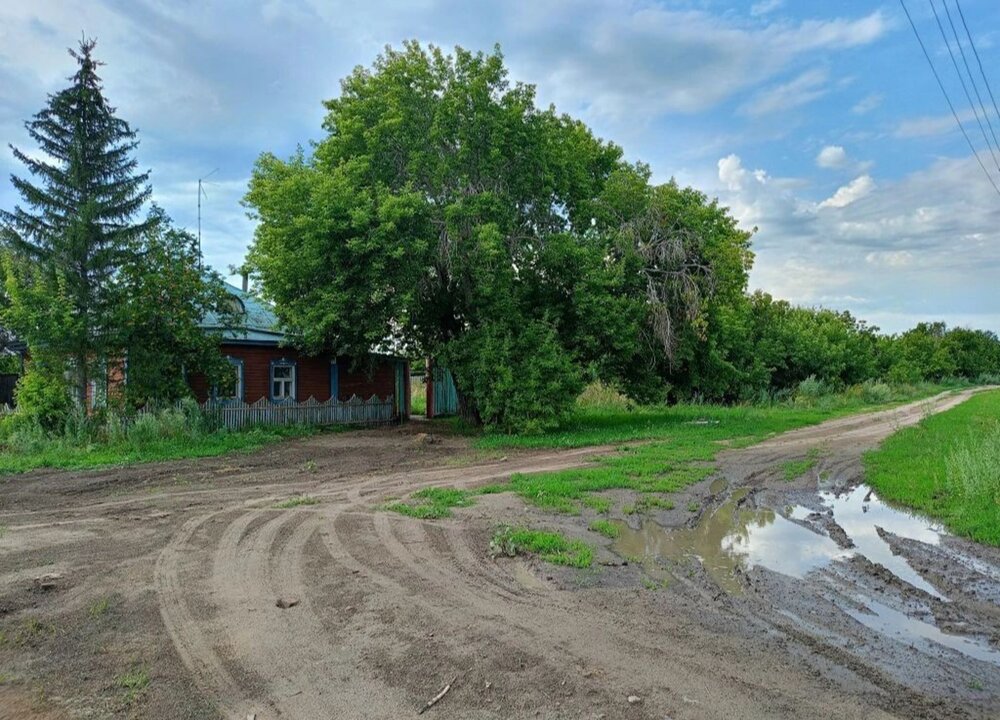 Photograph by Елена Чернякова