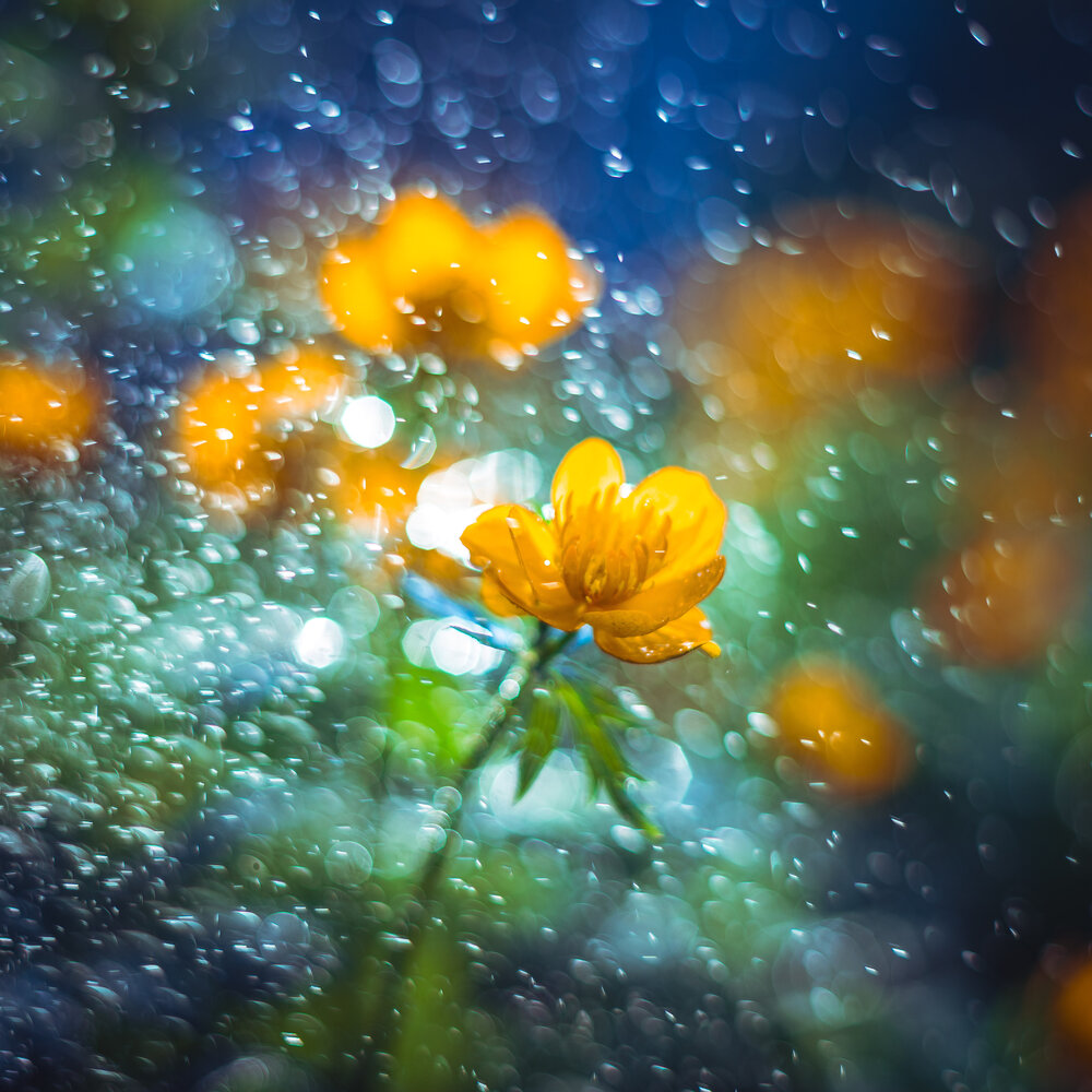 Photograph by Николай Захаров