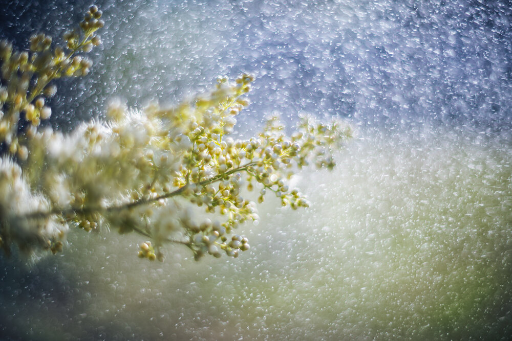 Photograph by Николай Захаров