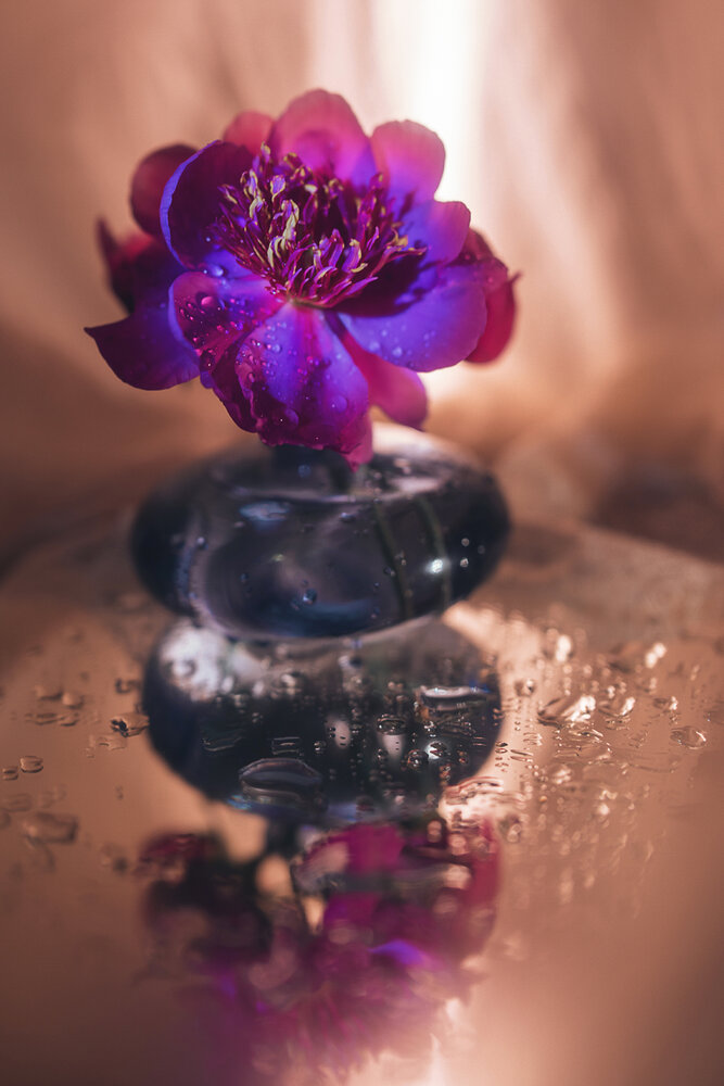 Photograph by Вика Фолина