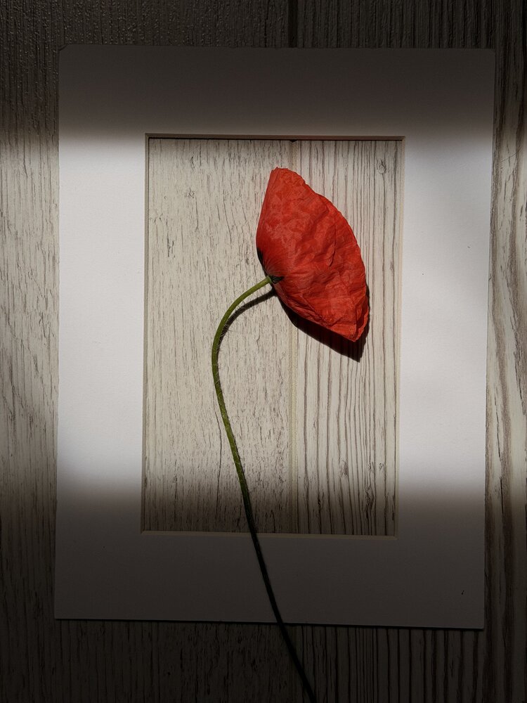 Photograph by Ольга Солодилова