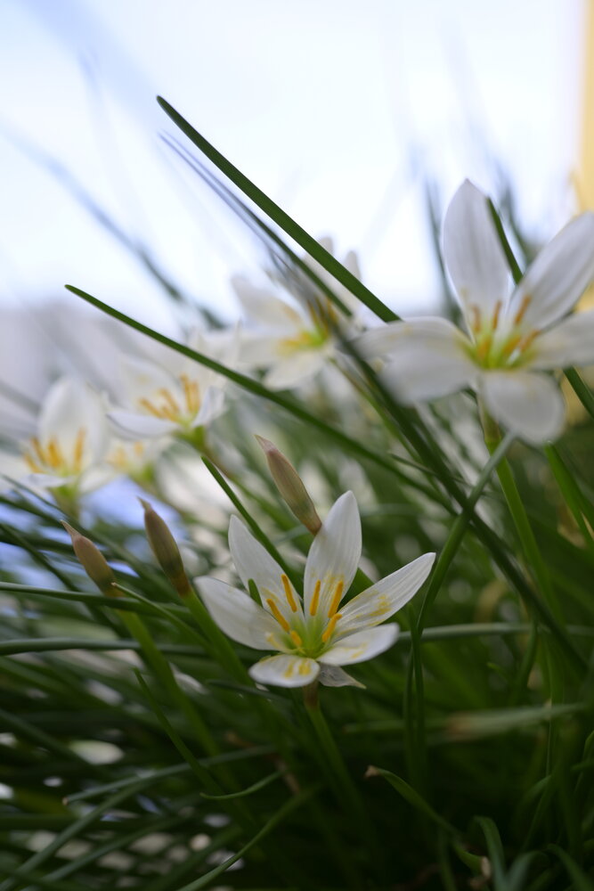 Photo #13908598