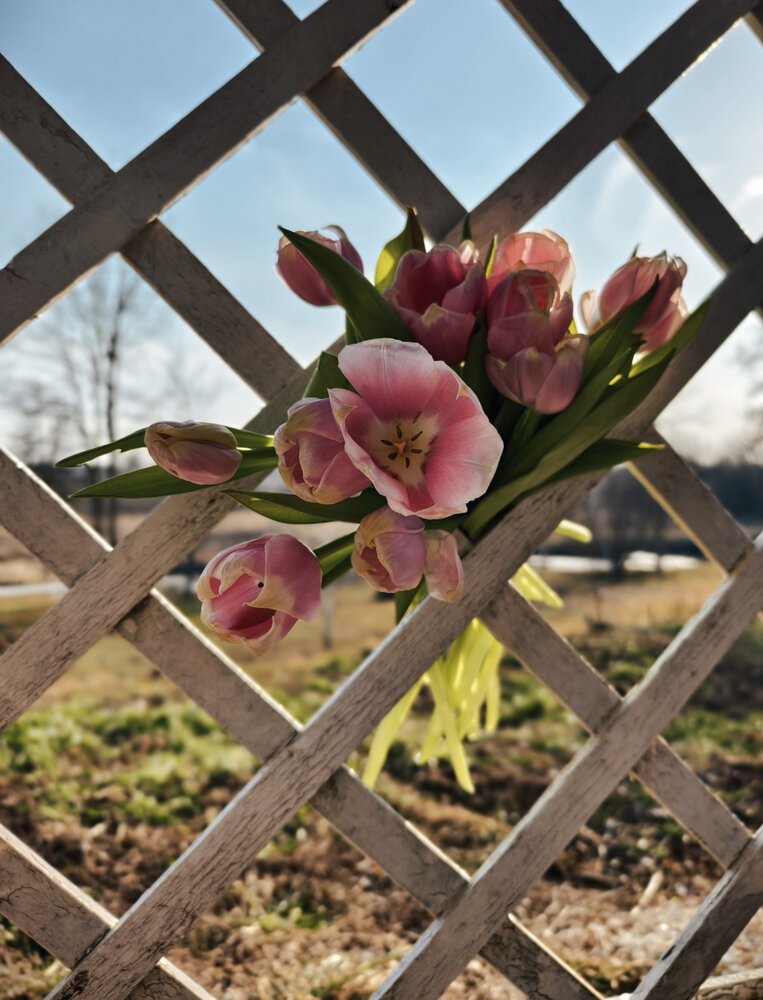 Photograph by Оксана Бизюкова