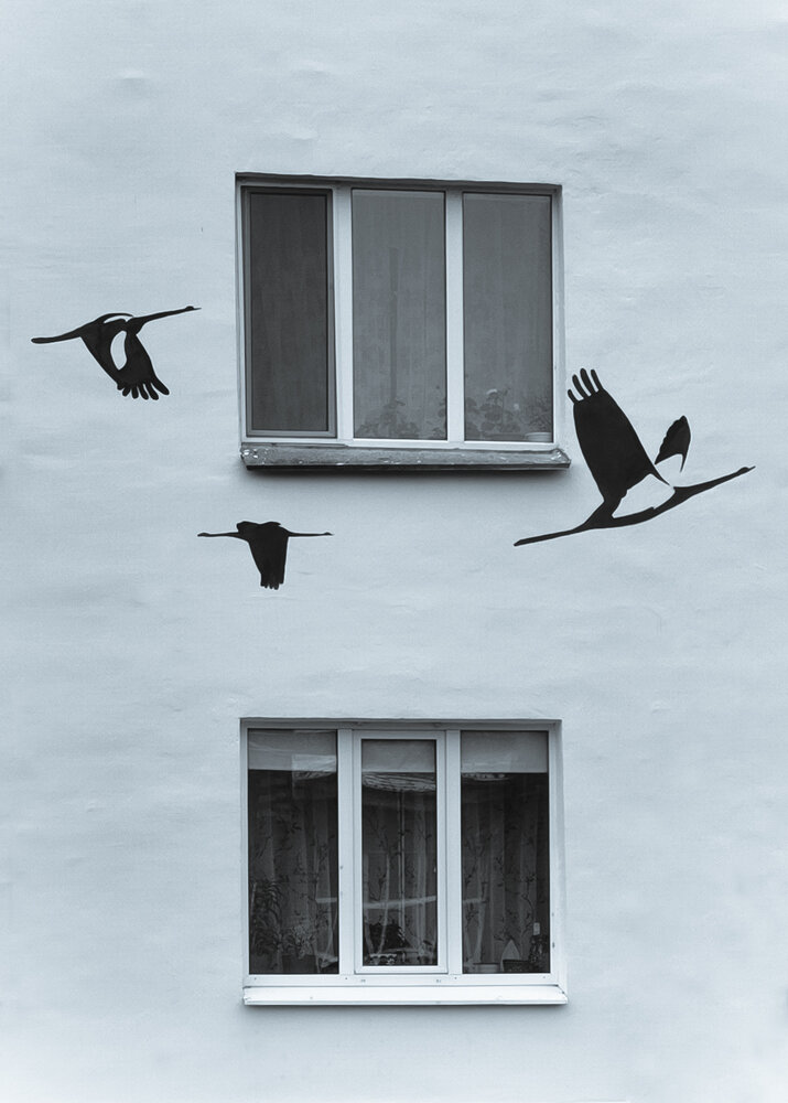 Photo #13908633