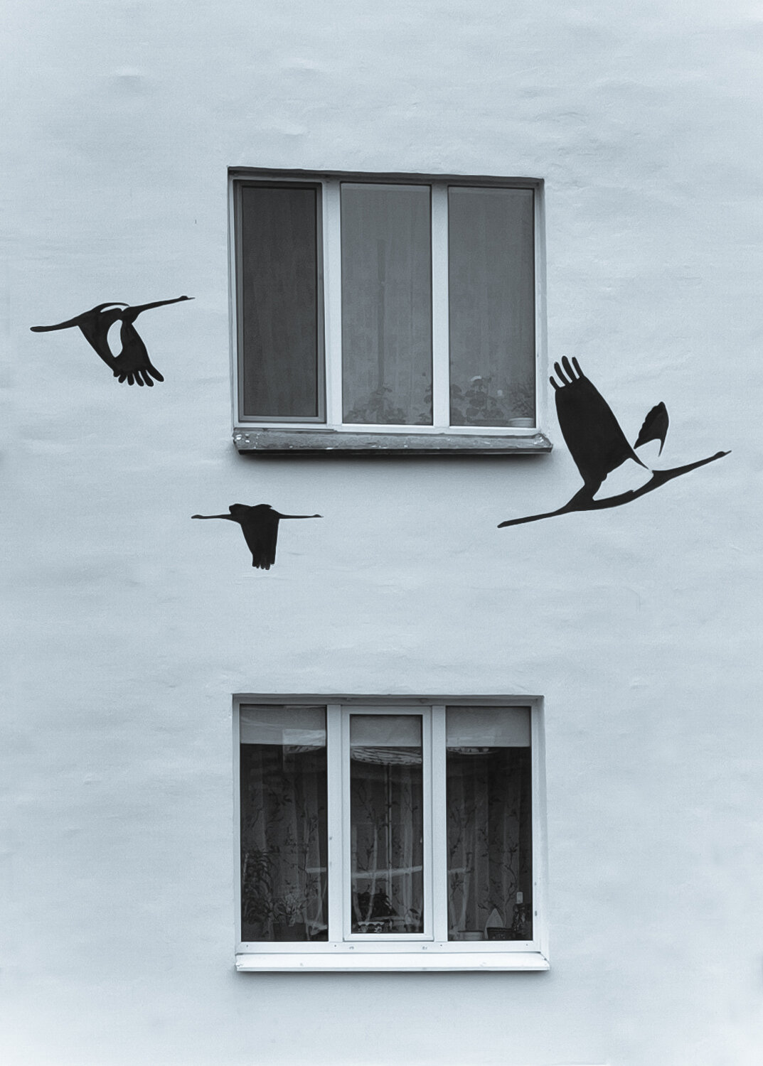 Photo #13908633